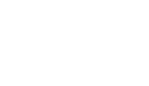 LifeCheck